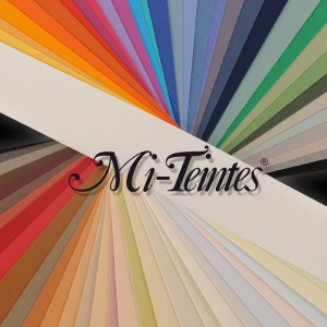 Fogli Canson Mi Teintes 160gr 50x65