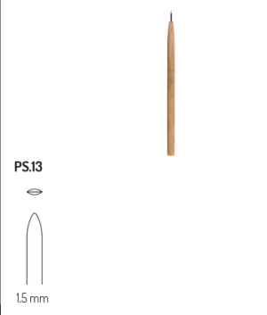 PS13 RGM